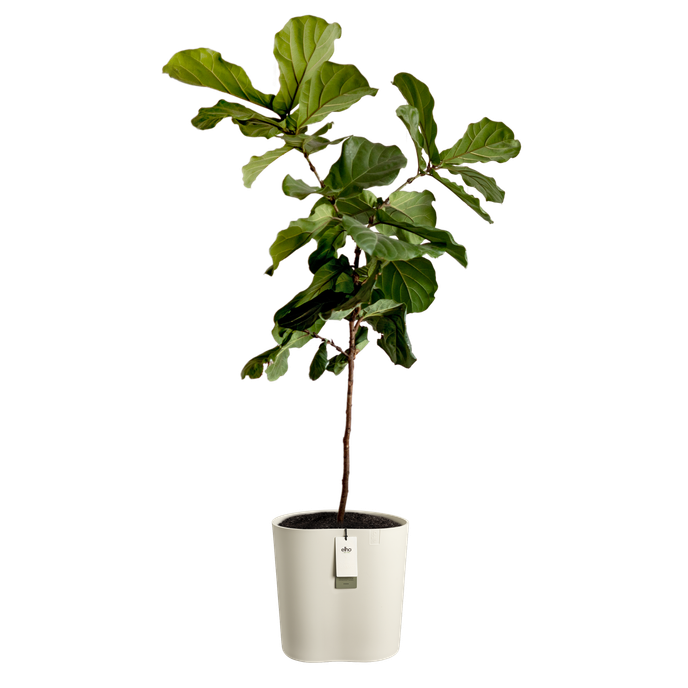 eden aquacare medium 40cm linnen wit